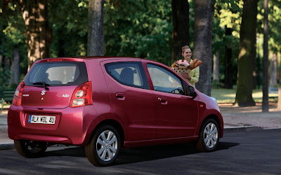 Suzuki Alto 2009 Mini